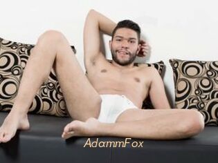 AdammFox