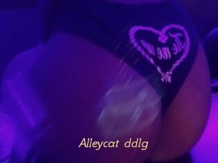 Alleycat_ddlg