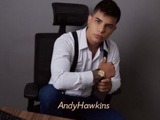 AndyHawkins