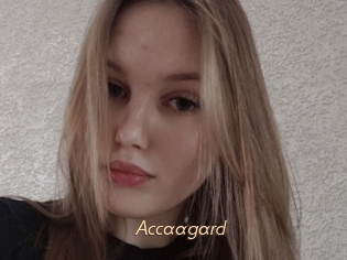 Accaagard