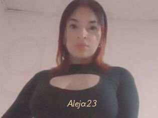 Aleja23