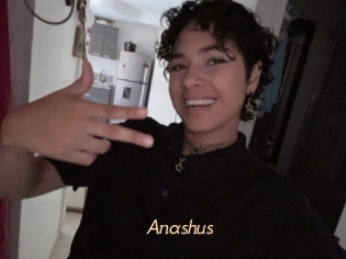 Anashus