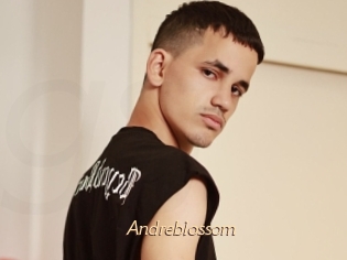 Andreblossom