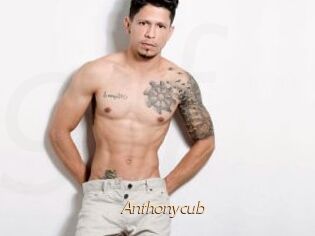 Anthonycub