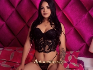 Antonellacolz