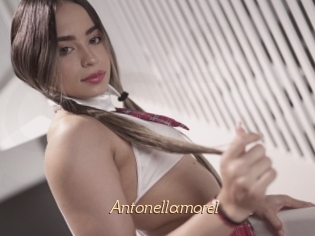 Antonellamorel