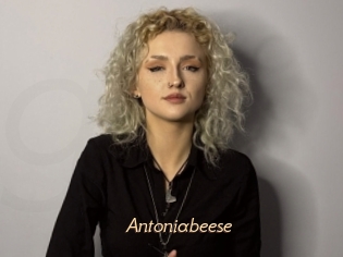 Antoniabeese