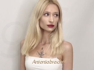 Antoniabracher