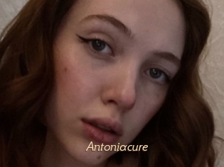 Antoniacure