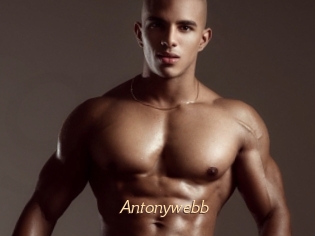 Antonywebb