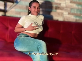 Anttonellataylor