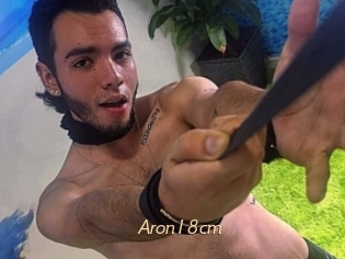 Aron18cm