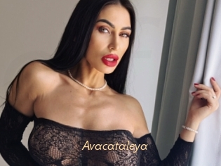 Avacataleya