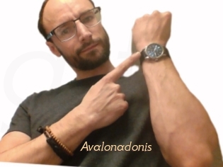 Avalonadonis