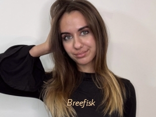 Breefisk