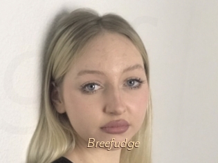 Breefudge