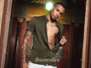 Brucecollins