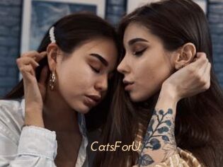 CatsForU
