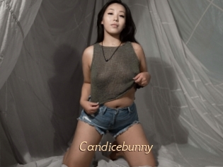 Candicebunny