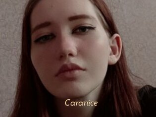 Caranice
