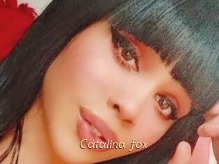 Catalina_fox