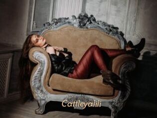 Cattleyalili