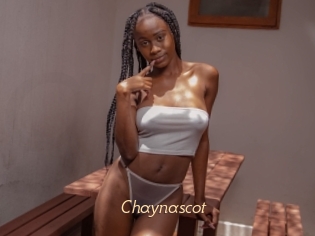 Chaynascot