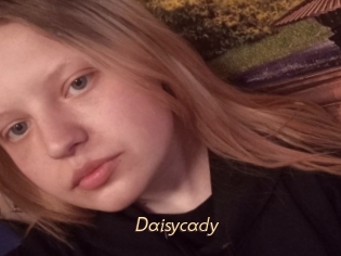 Daisycady