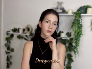 Daisycrosier