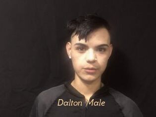 Dalton_Male