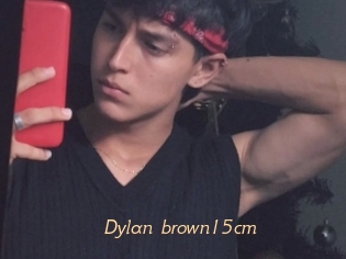 Dylan_brown15cm