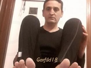 Garfild18