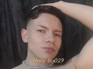 Harry_big029