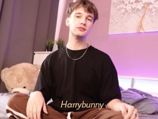 Harrybunny