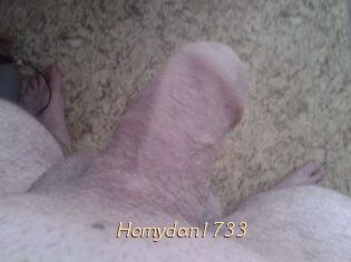 Hornydan1733