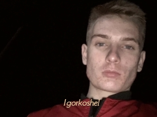 Igorkoshel