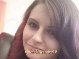 KittenCambria69