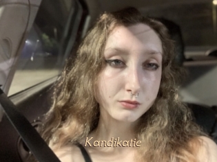 Kandikatie