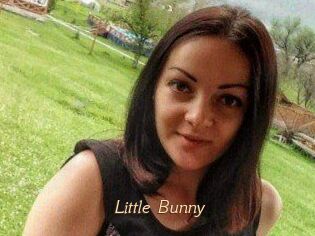 Little_Bunny_