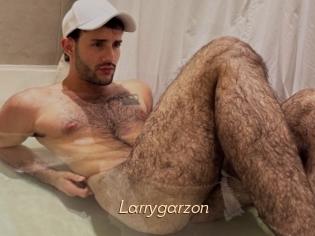 Larrygarzon