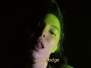 Leilabodge