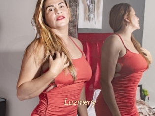 Luzmerry