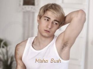 Misha_Bush