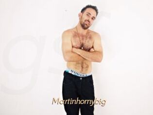 Martinhornybig