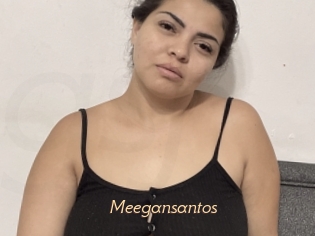 Meegansantos