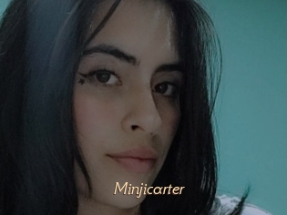 Minjicarter