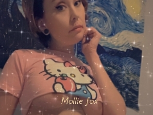 Mollie_fox