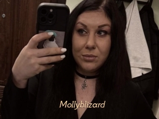 Mollyblizard