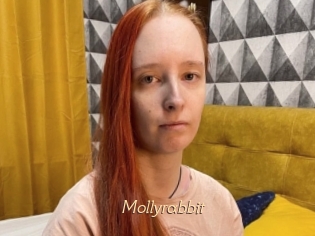 Mollyrabbit