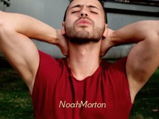 NoahMorton